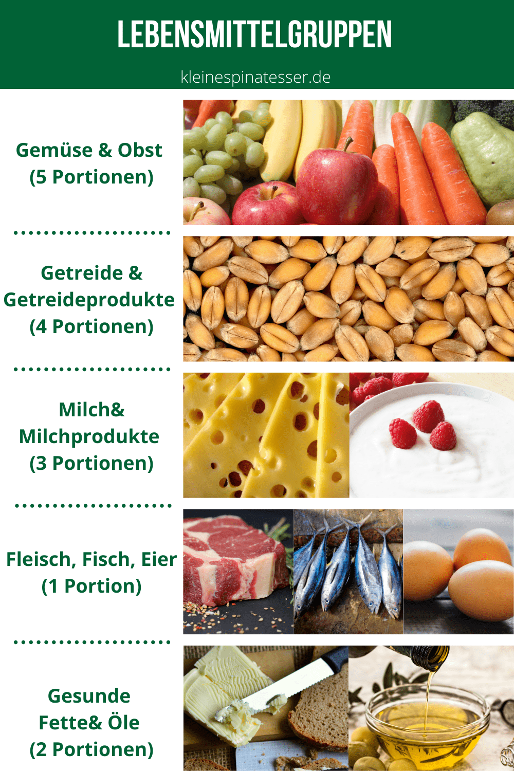 Infographik der 5 Lebensmittelgruppen: Gemüse & Obst, Getreideprodukte, Milchprodukte, Fleisch & Fisch & Eier sowie Fette