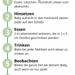 Breifreie Beikosteinführung nach Baby Led Weaning - die einzelnen Schritte