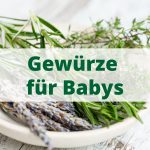 Eine Schale mit Gewürzen, darüber ist der Text "Gewürze für Babys"