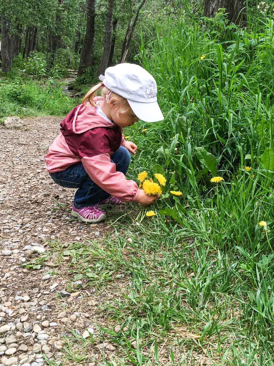 Kleinkind sammelt Blumen am Wegesrand